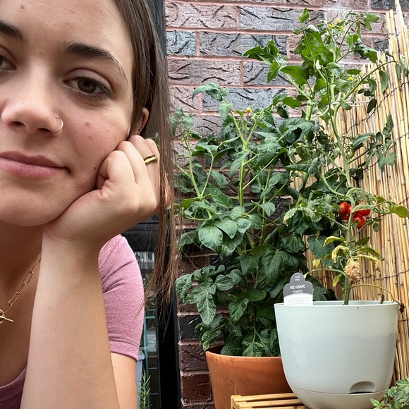 Meet your Posher, Samantha - Picture 2 of 4